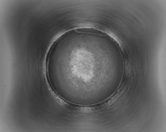 X0000116301088200912071243