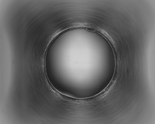 X0000116301089200912071243