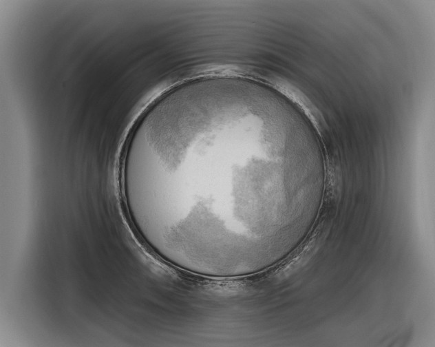 X0000116301090200912071243