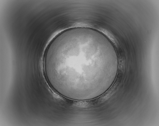 X0000116301094200912071243