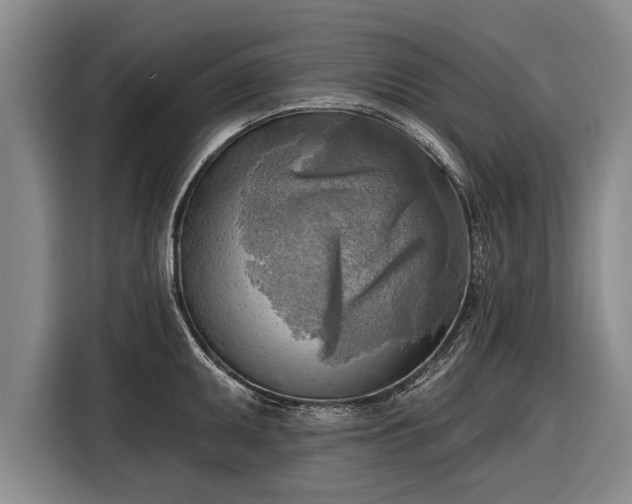 X0000116301095200912071243