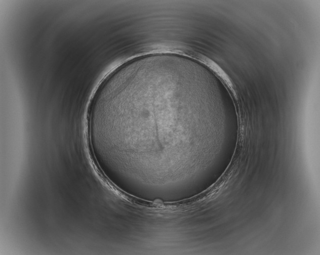 X0000116301096200912071243