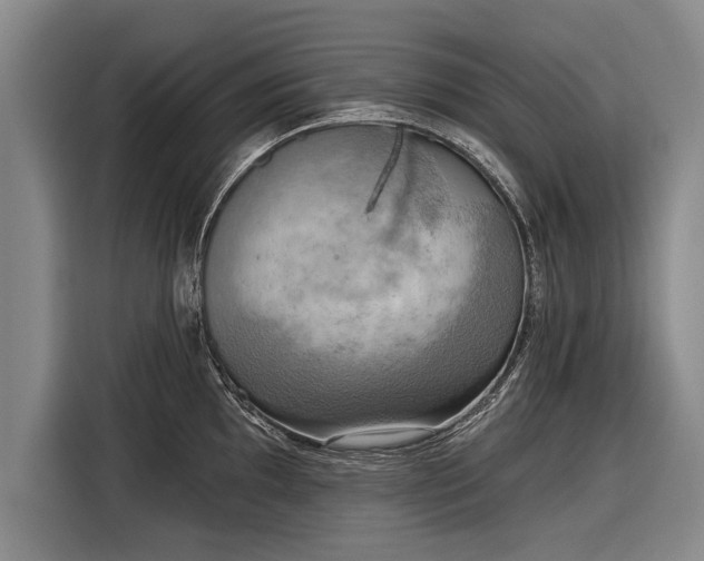 X0000116301097200912071243