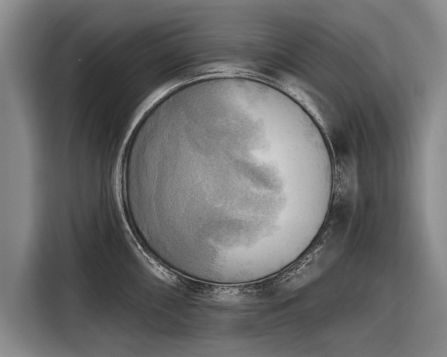 X0000116301098200912071243