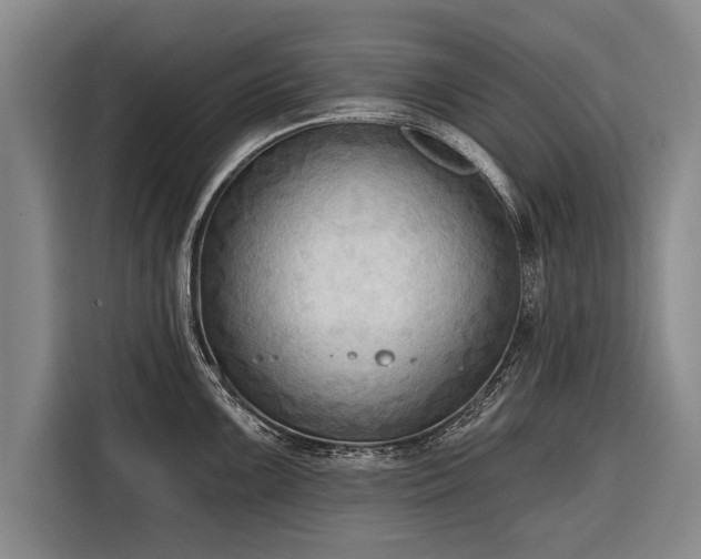 X0000116301099200912071243