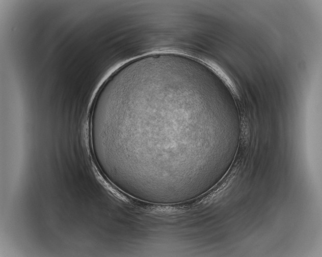 X0000116301100200912071243