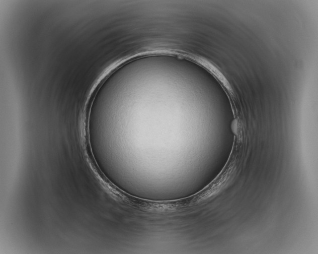 X0000116301101200912071243