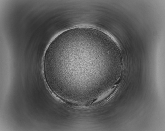 X0000116301102200912071243