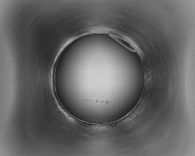 X0000116301103200912071243