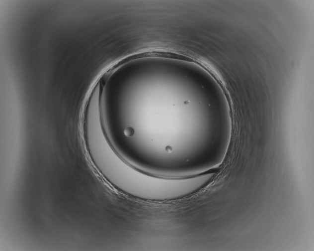 X0000116301104200912071243