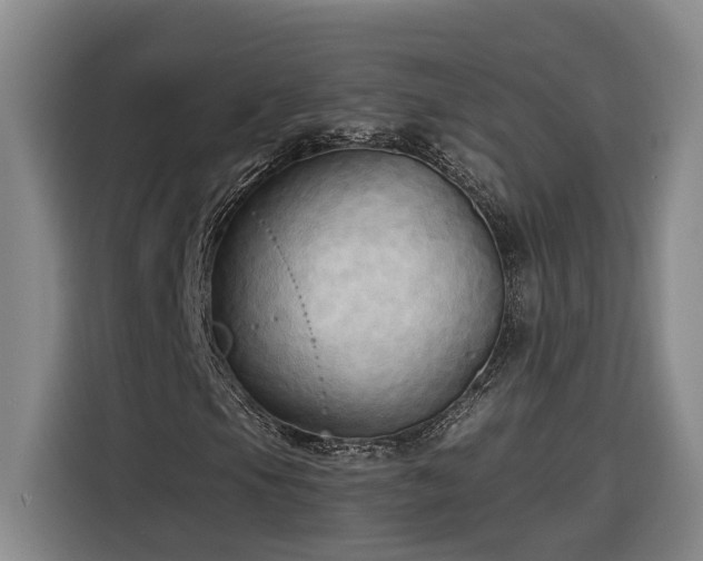 X0000116301105200912071243