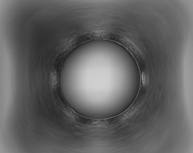 X0000116301107200912071243