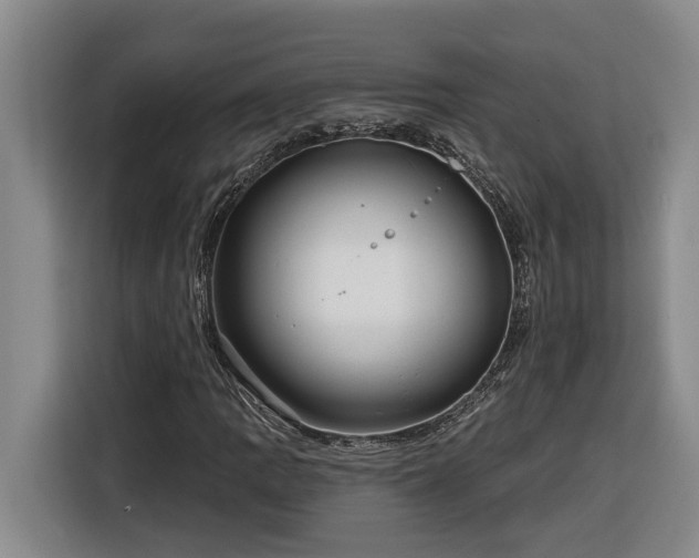 X0000116301109200912071243