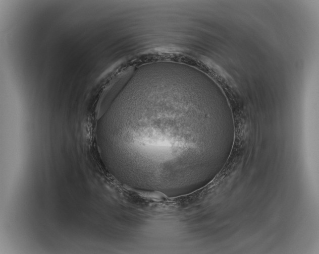 X0000116301110200912071243