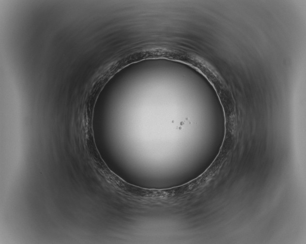 X0000116301111200912071243