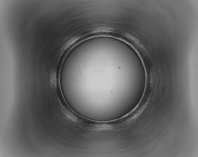 X0000116301113200912071243