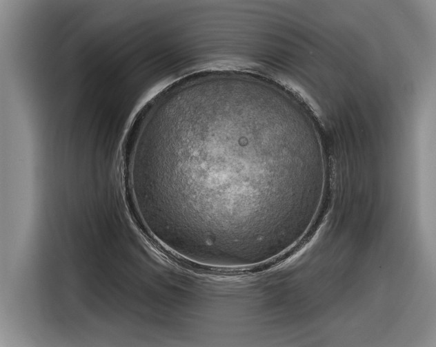 X0000116301114200912071243