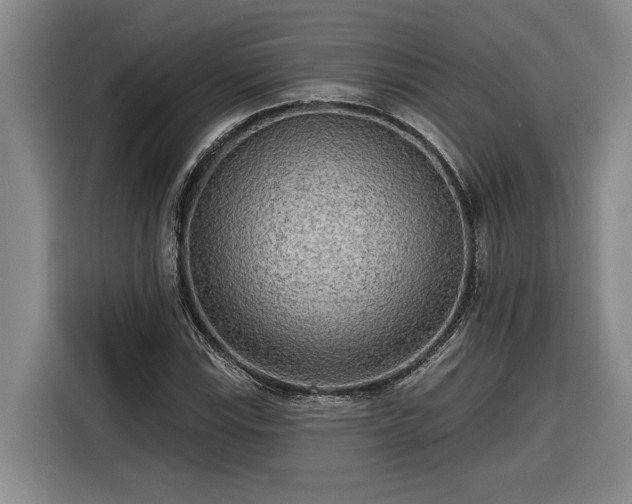 X0000116301115200912071243