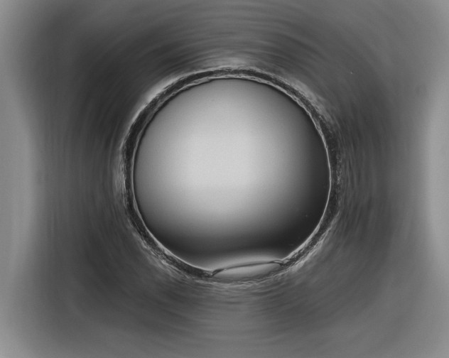 X0000116301118200912071243