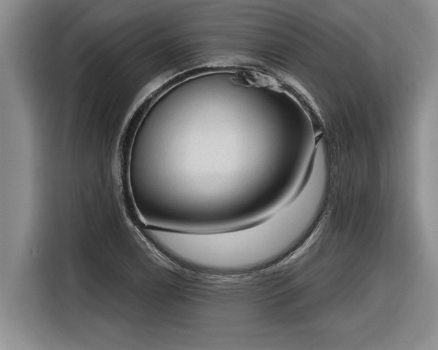 X0000116301122200912071243