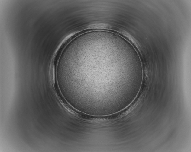 X0000116301123200912071243