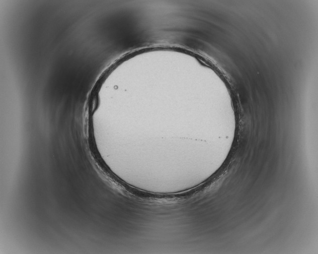 X0000116301126200912071243