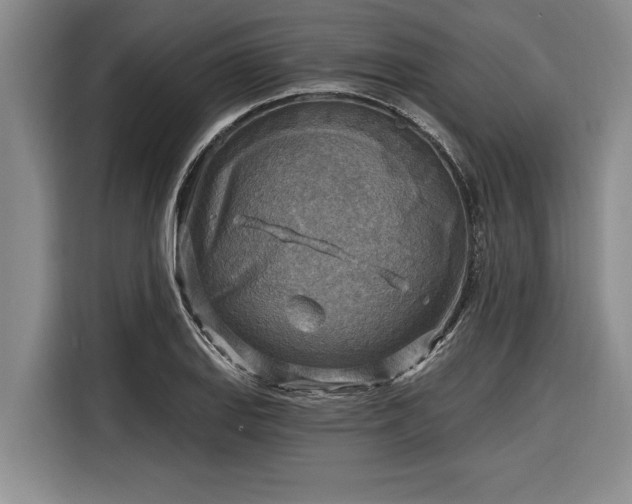 X0000116301127200912071243