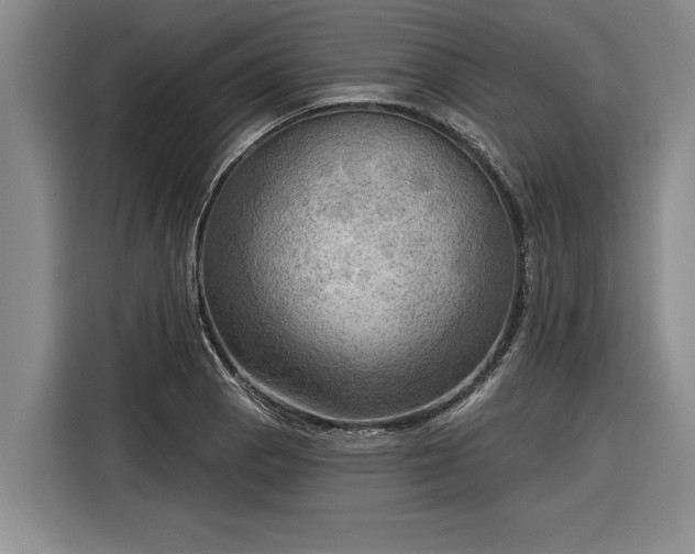 X0000116301129200912071243