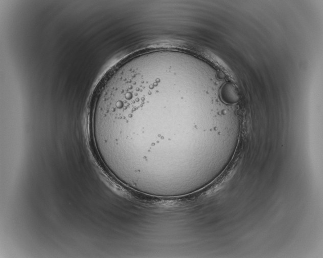 X0000116301130200912071243