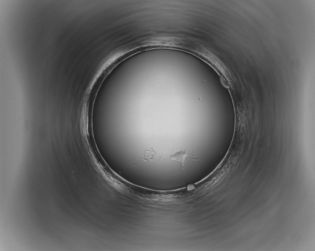 X0000116301131200912071243