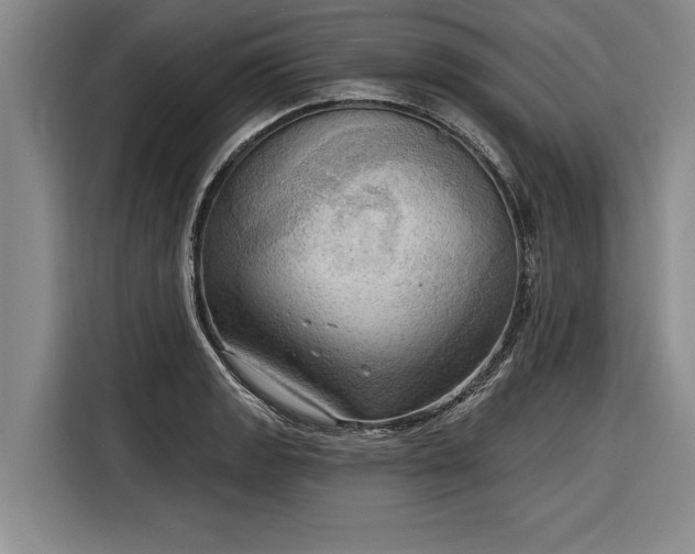 X0000116301133200912071243