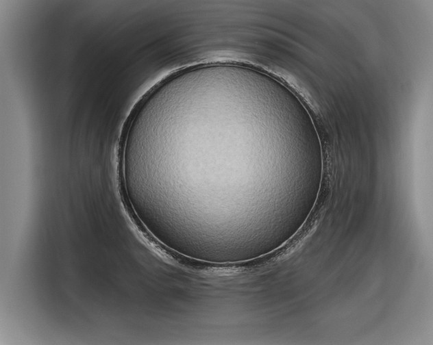 X0000116301134200912071243