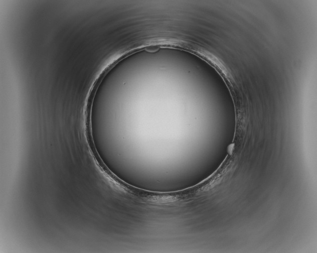 X0000116301135200912071243