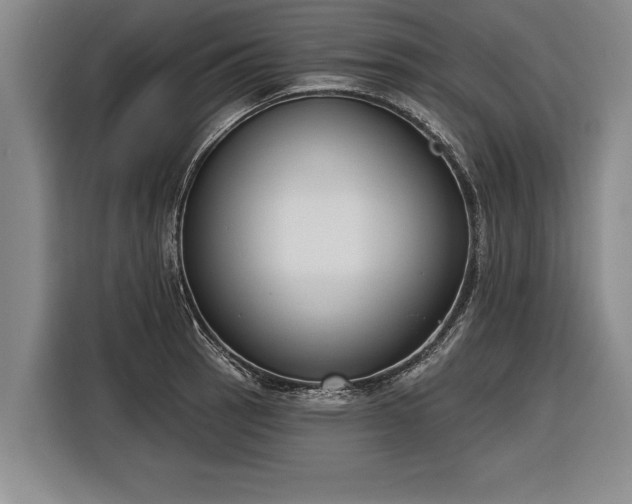 X0000116301137200912071243