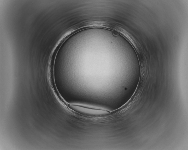 X0000116301139200912071243