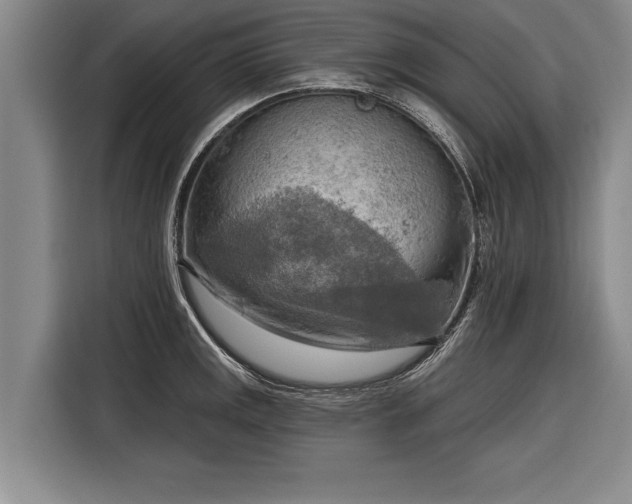 X0000116301141200912071243