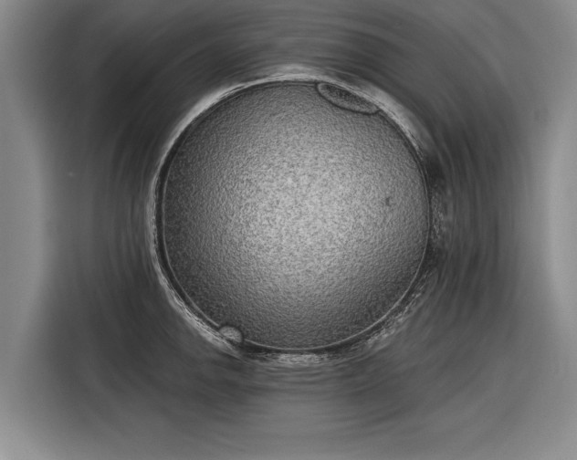 X0000116301142200912071243