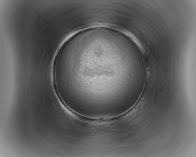 X0000116301143200912071243