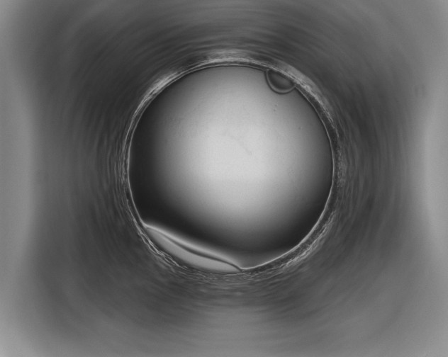 X0000116301145200912071243