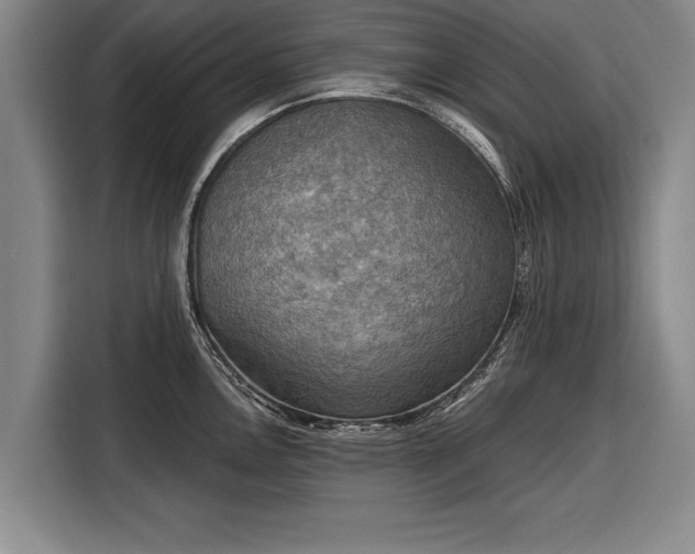 X0000116301146200912071243