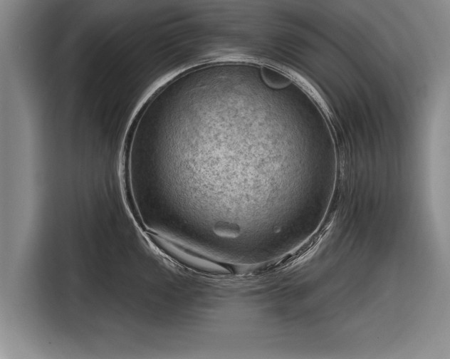 X0000116301149200912071243