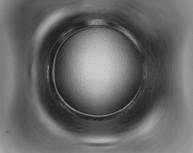 X0000116301151200912071243