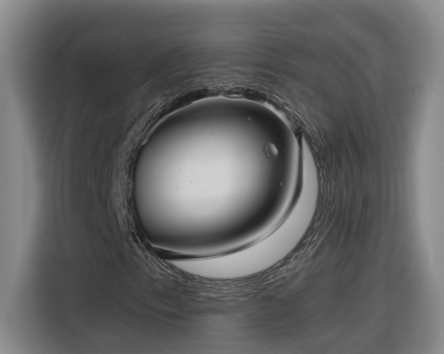 X0000116301153200912071243