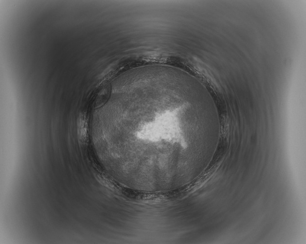 X0000116301154200912071243