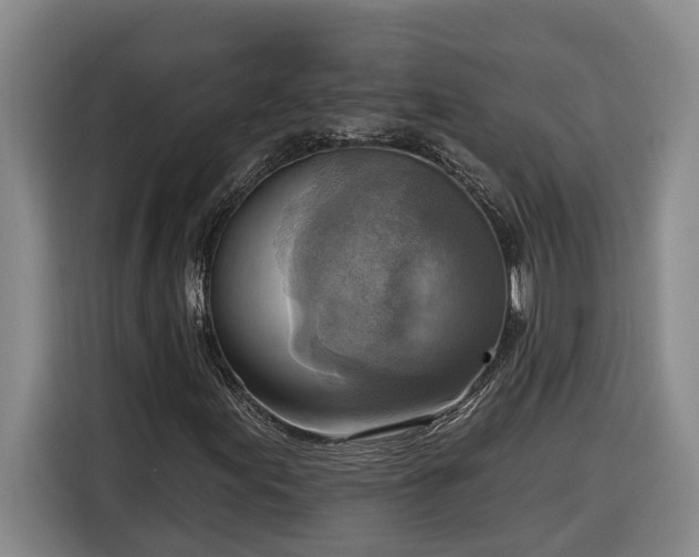 X0000116301155200912071243