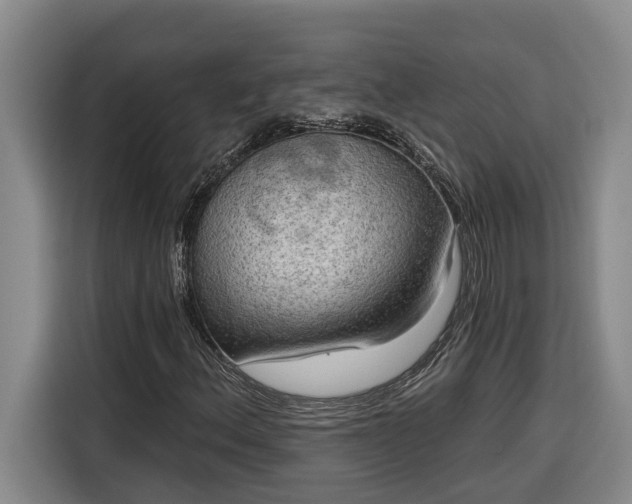 X0000116301156200912071243