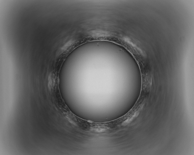 X0000116301157200912071243