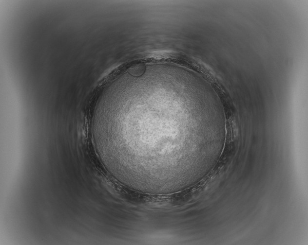 X0000116301158200912071243