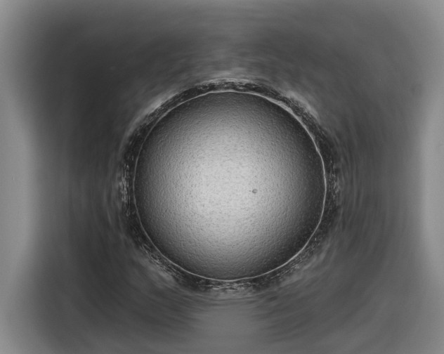 X0000116301159200912071243