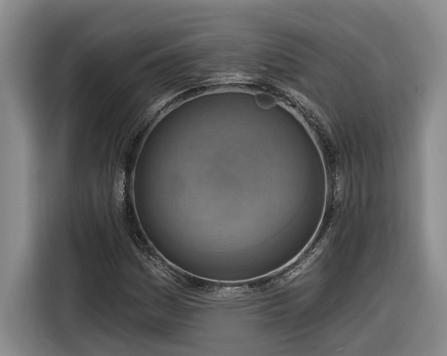 X0000116301161200912071243